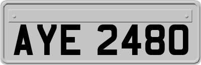 AYE2480