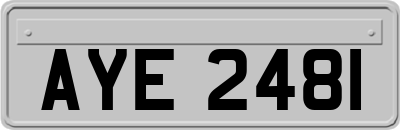 AYE2481