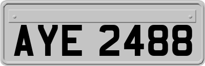 AYE2488