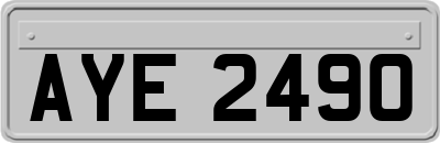 AYE2490