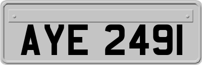 AYE2491