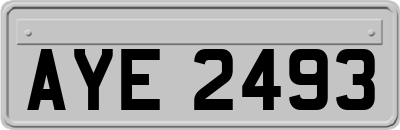 AYE2493
