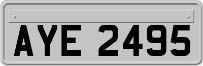 AYE2495