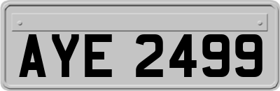 AYE2499