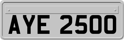AYE2500