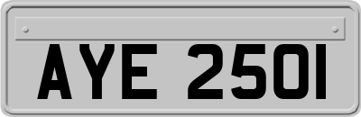 AYE2501