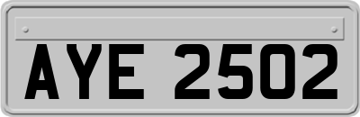 AYE2502