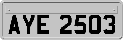 AYE2503