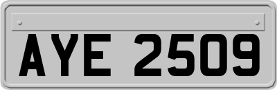 AYE2509