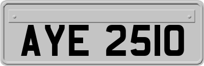 AYE2510