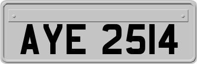 AYE2514