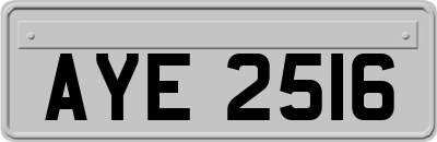 AYE2516
