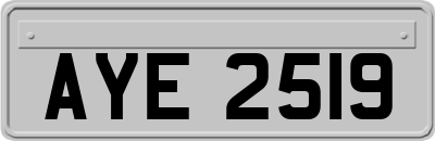 AYE2519