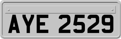 AYE2529