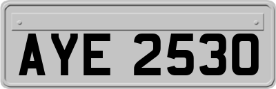 AYE2530