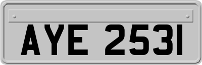 AYE2531