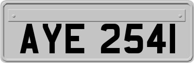 AYE2541