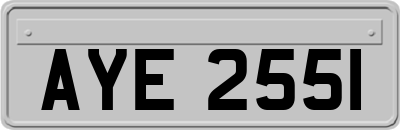 AYE2551