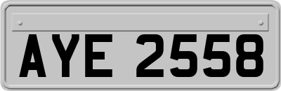AYE2558