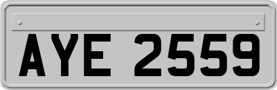 AYE2559