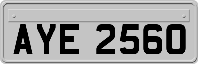 AYE2560