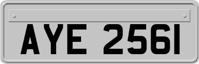 AYE2561