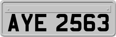 AYE2563