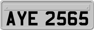 AYE2565