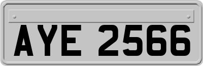 AYE2566