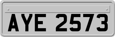 AYE2573