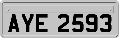 AYE2593