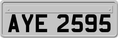 AYE2595