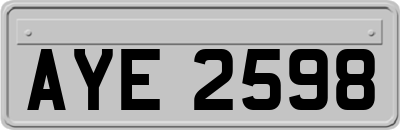 AYE2598