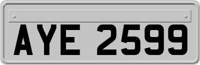 AYE2599