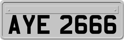 AYE2666