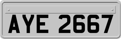 AYE2667