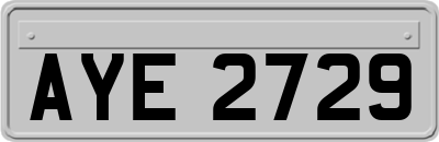 AYE2729