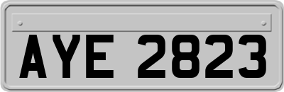 AYE2823