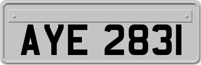 AYE2831
