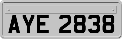AYE2838