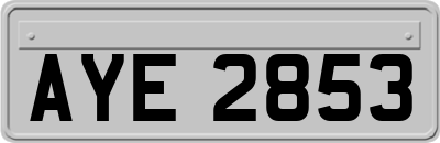 AYE2853