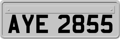AYE2855