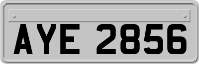 AYE2856