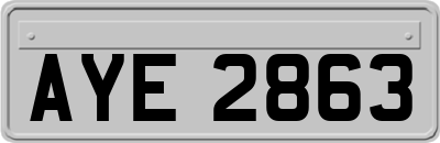 AYE2863