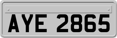 AYE2865