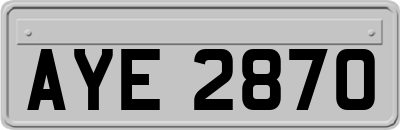 AYE2870