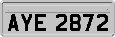 AYE2872