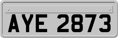 AYE2873