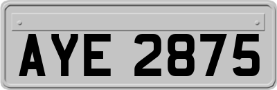 AYE2875