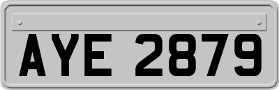 AYE2879